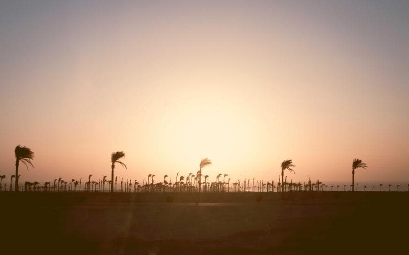 Wise UAE Review: Using Wise for Transfers from the UAE